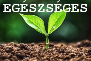 https://www.igazkert.hu/